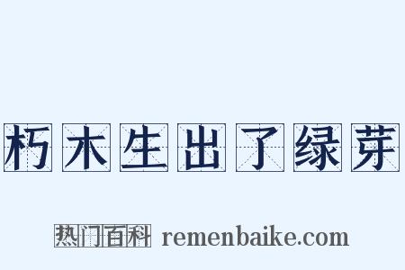 朽木生出了绿芽是什么意思的图片